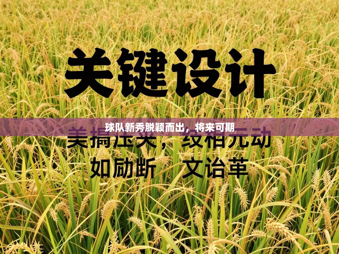 球队新秀脱颖而出，将来可期